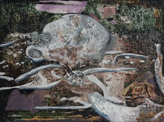 Study of elephant bones